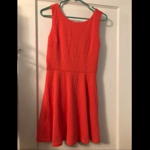NWOT Forever21 - Skater dress with bow